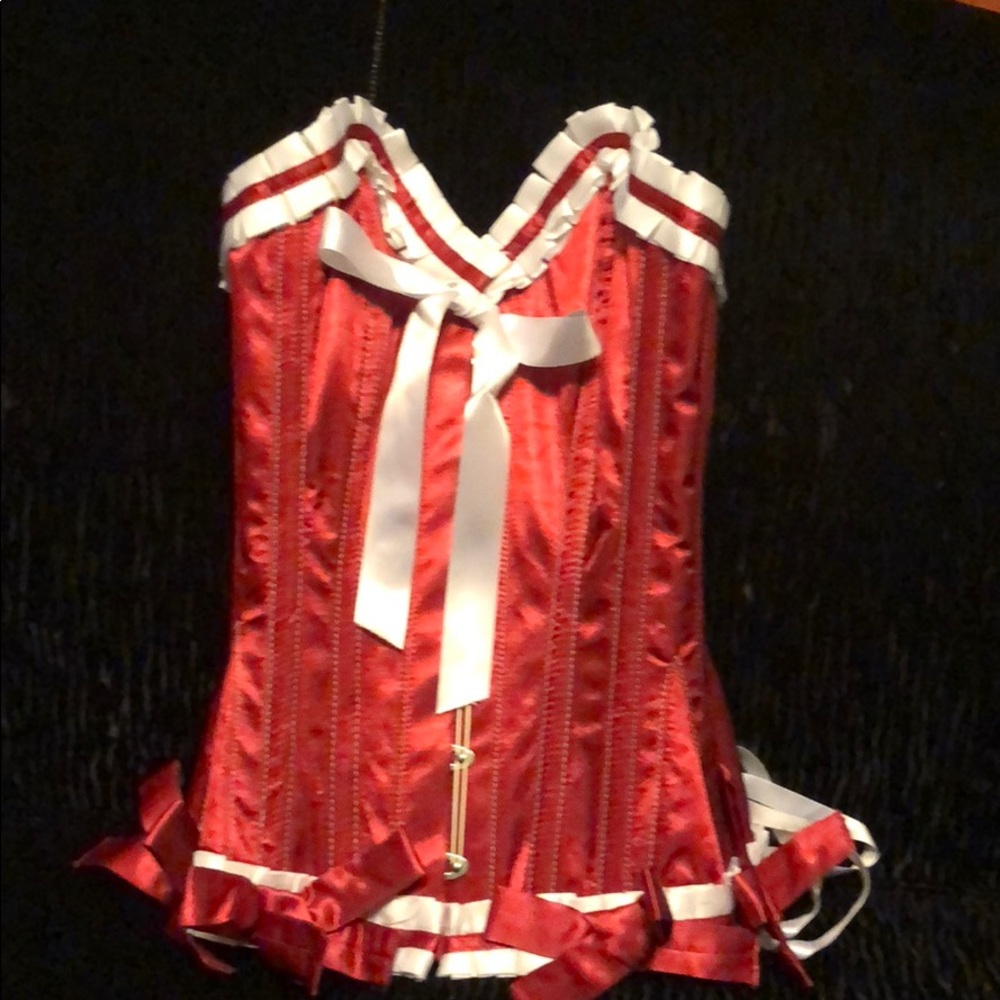 Steel boned corset NWT